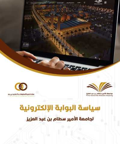 سياسة البوابة الإلكترونية